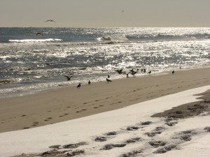 Long Island Real Estate on Week Lbi Realty Group Long Beach Island Nj Real Estate Lbi Sales