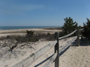 Barnegat Inlet view from Forest Trail
