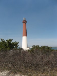 View of Barnegat Lighthouse from Forest Trail 